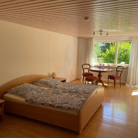 2-Zimmer-Nichtraucher-Ferienwohnung Strobel Тюбинген Экстерьер фото
